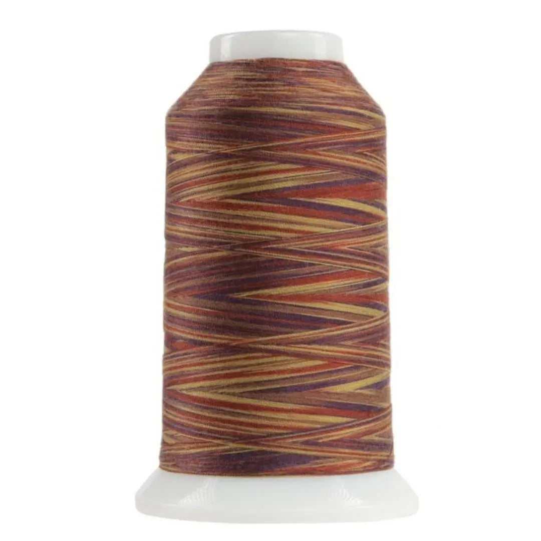 Hilo de poliéster variegado Chenille Omni - 2000 yardas