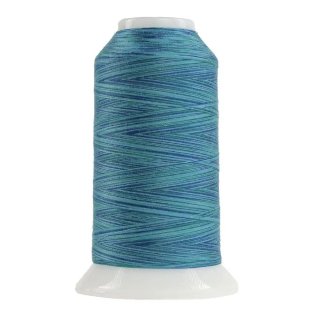 Fil en polyester variegé Laguna Omni 9006