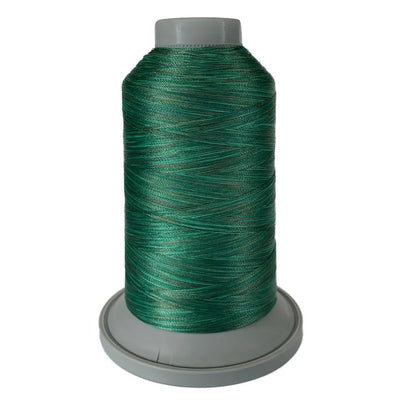 Fil en polyester variegé 60293 Forest Affinity