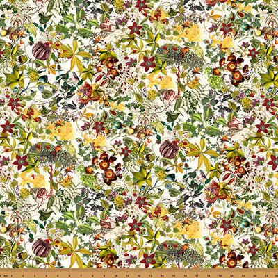 Cream Floral Mousing Around Cotton Fabric - 43"/44" Per Yard