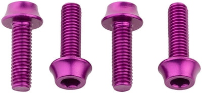 Wolf Tooth Water Bottle Cage Bolts - Set of 4 in Purple