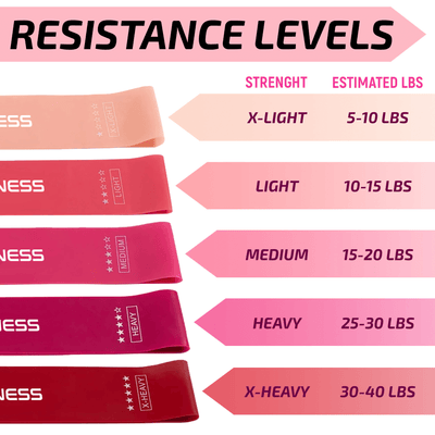 XGear Fitness Loop Resistance Band Set of 5 with Carry Bag