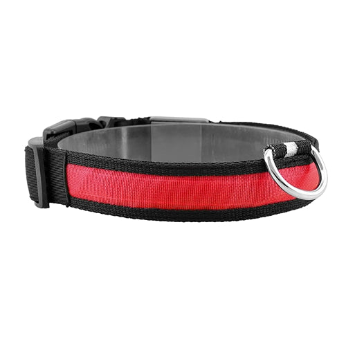 GBruno LED Dog Collar - High Visibility Safety