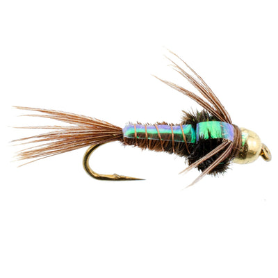 Premium Bead Head Flashback Pheasant Tail Nymphs - 6 Pack, Size 10 - Korvel