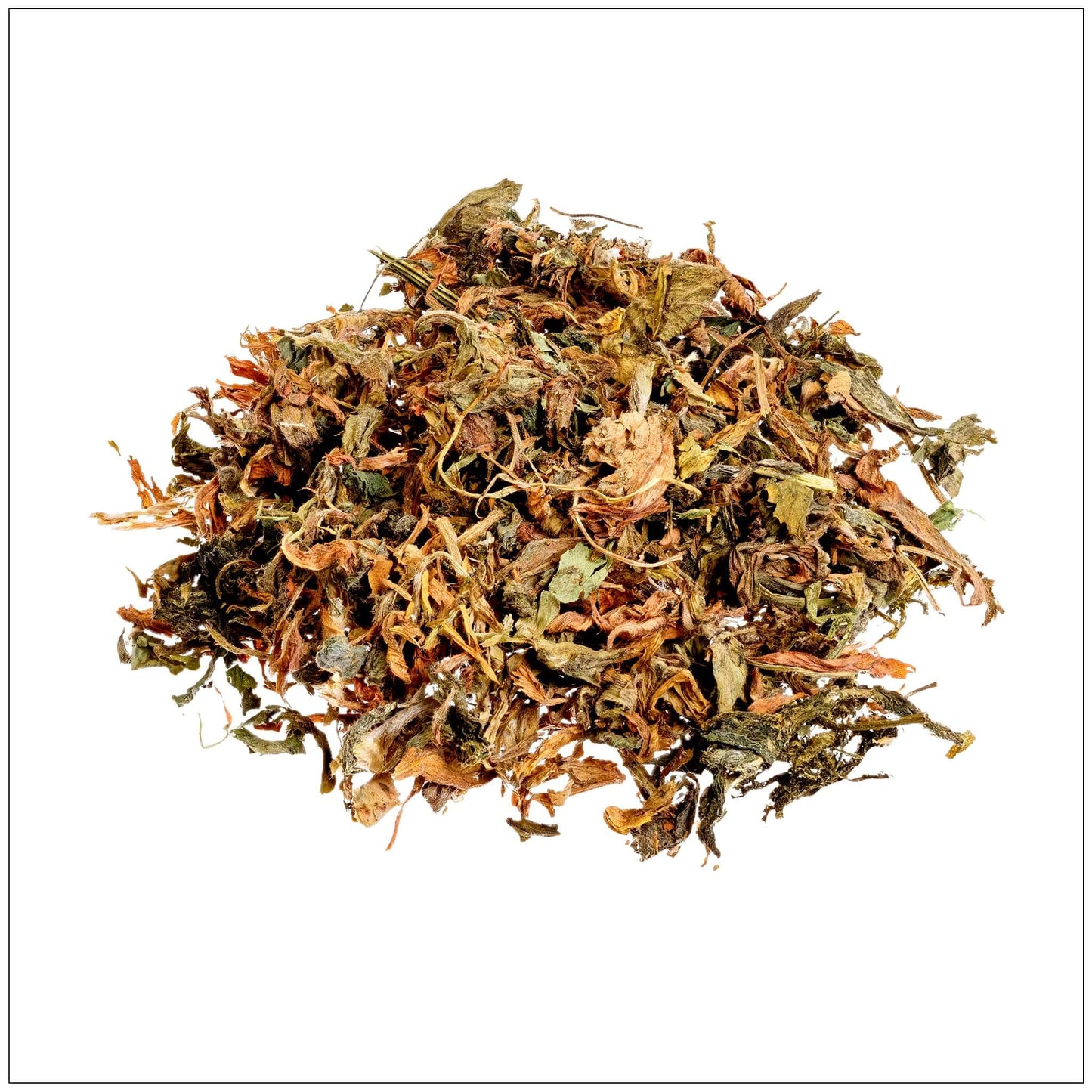 Premium Alfalfa Leaf - Fresh Herb for Culinary Use