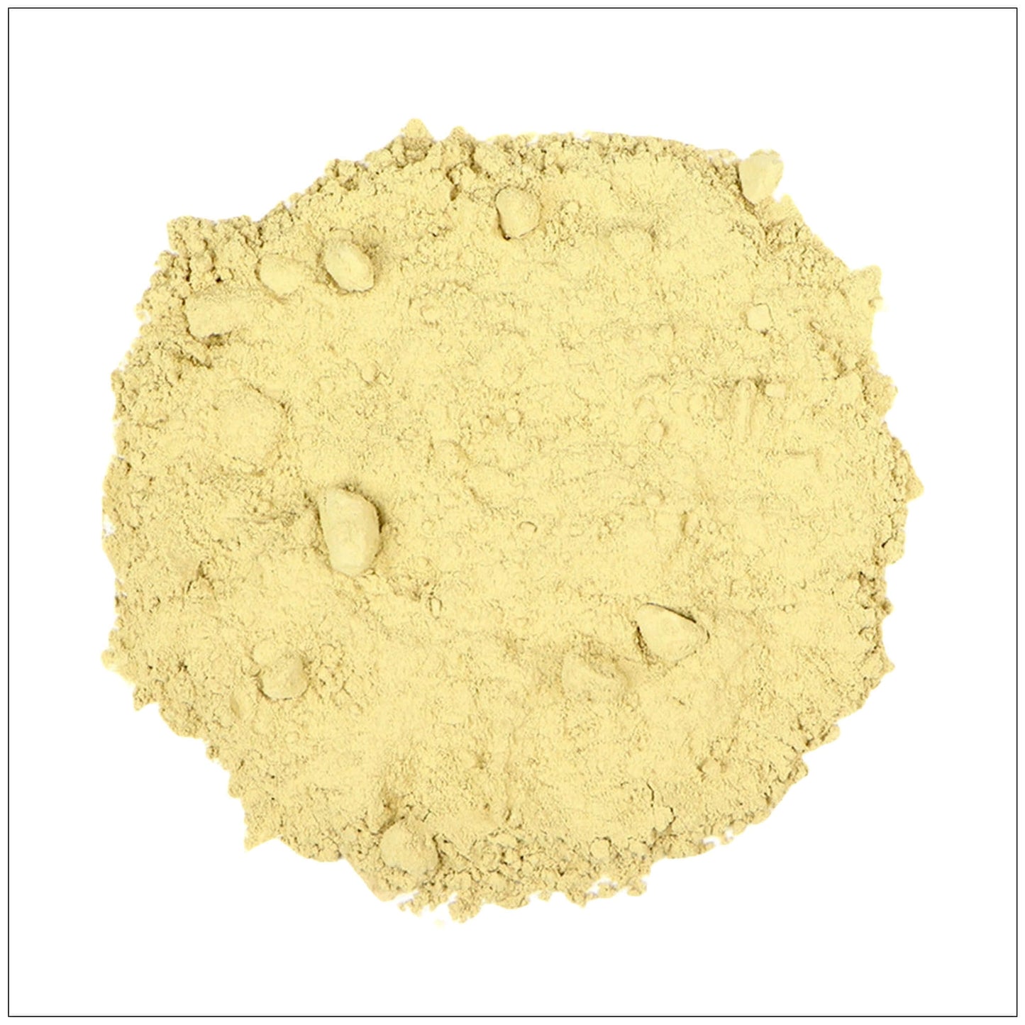 Polvo de Hoja de Aloe Vera Premium