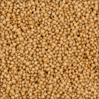 Semillas de Amaranto Premium - Pseudocereal Sin Gluten