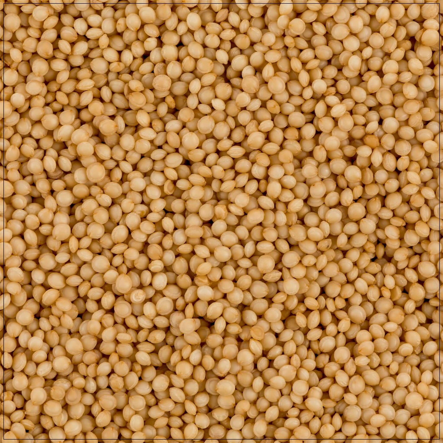 Graines d'amarante premium - Pseudocéréale polyvalente