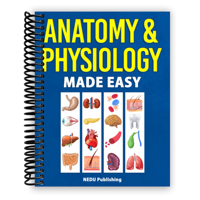 Anatomy & Physiology Made Easy: An Illustrated Study Guide for Students To Easily Learn Anatomy and Physiology (Spiral Bound) - Korvel