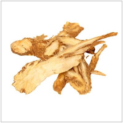 Racine d'Angélique Premium - Herbe Culinaire Aromatique