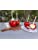 Mezcla de Recubrimiento de Manzana de Caramelo Rojo de Oasis Supply, Sabor Cereza, 12 Oz
