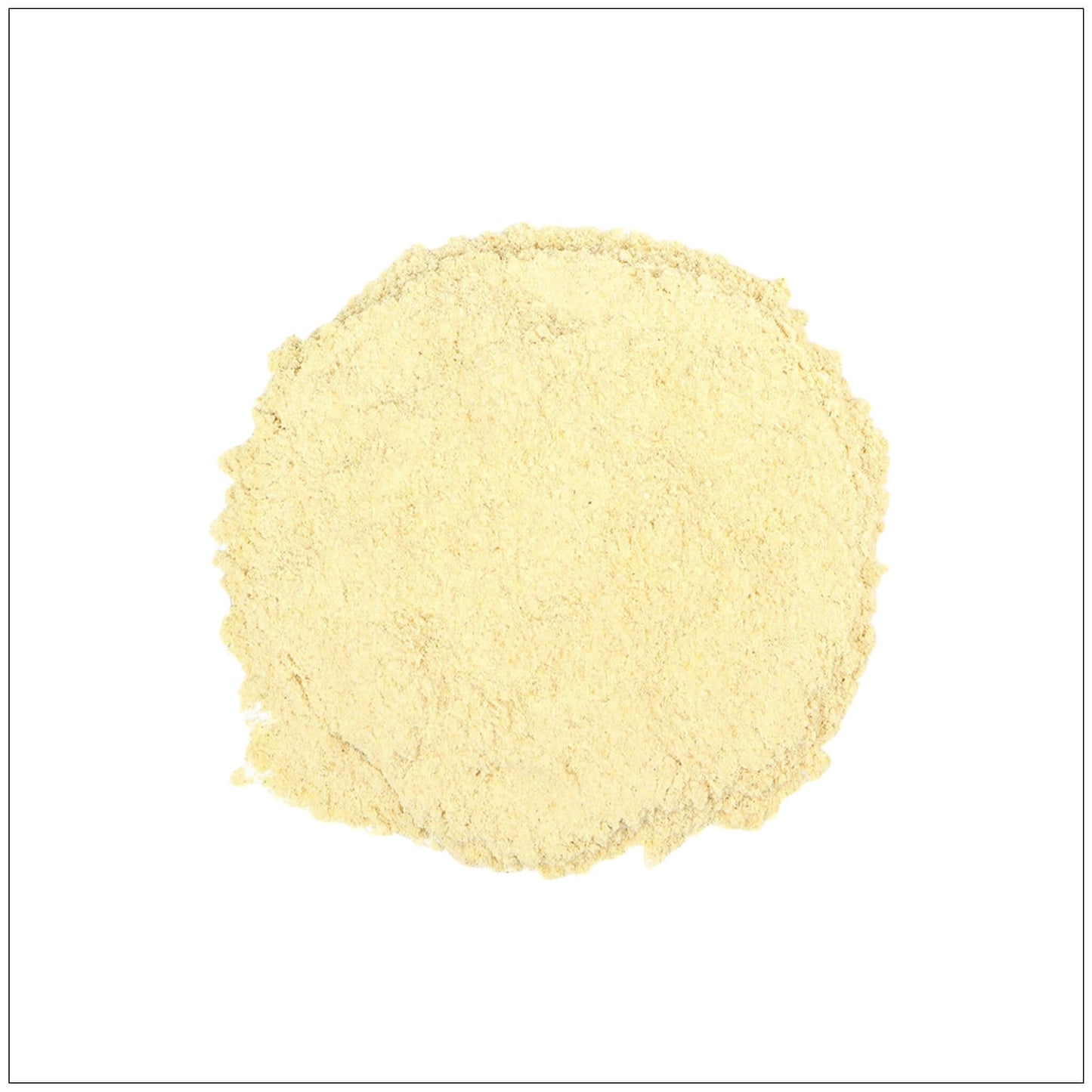 Polvo de raíz de astrágalo premium