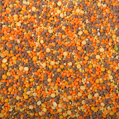 Autumn Blend Lentils - Korvel