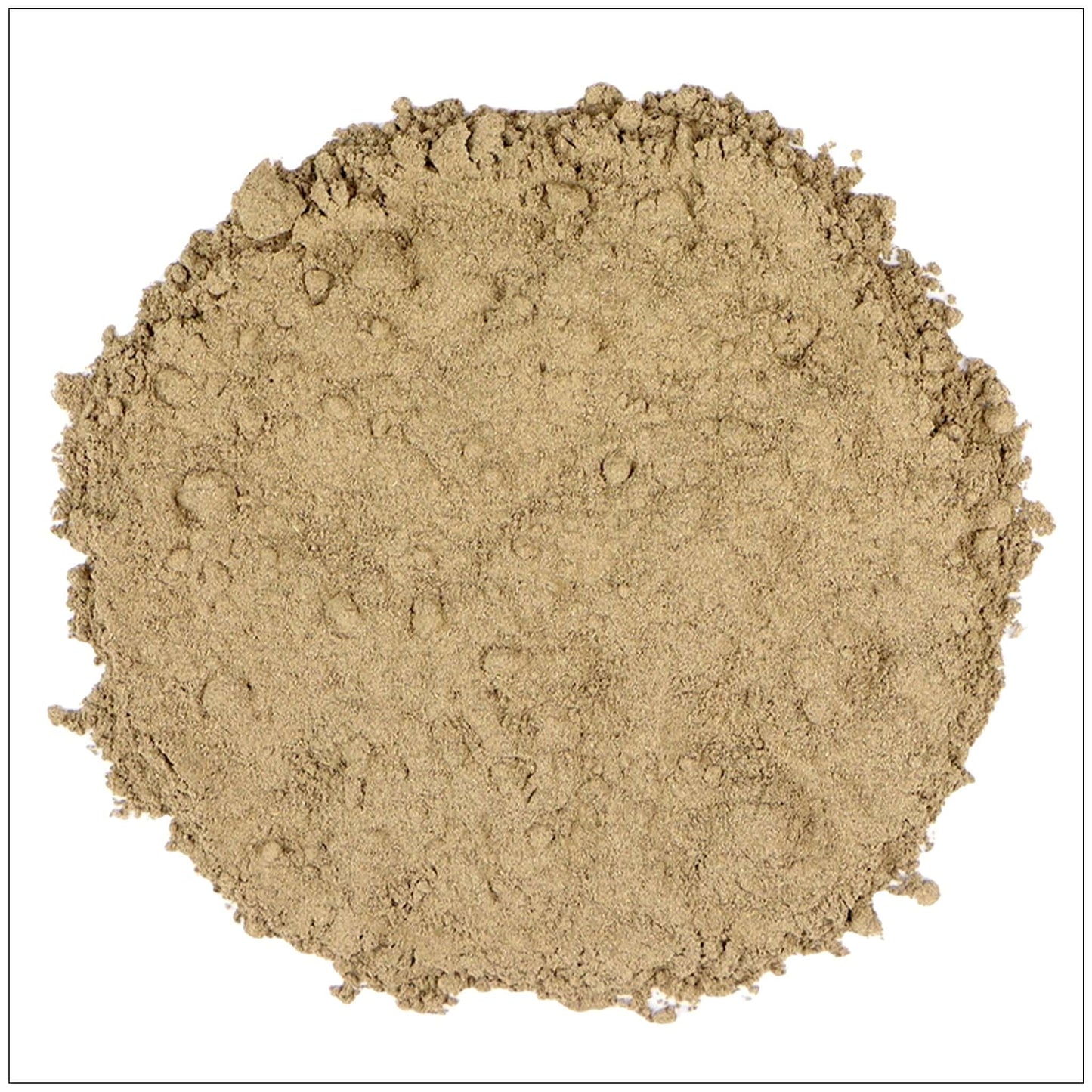 Polvo de raíz de cimicifuga negra premium