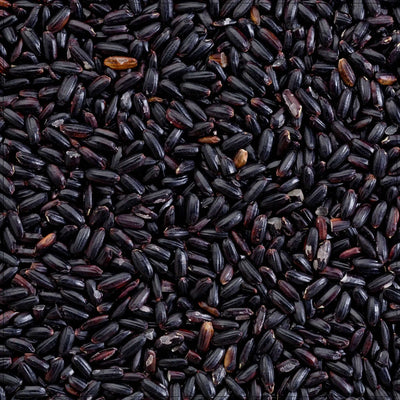 Black Forbidden Rice - Korvel