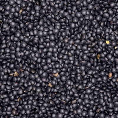 Premium Black Lentils - Earthy Flavor & Versatile Cooking