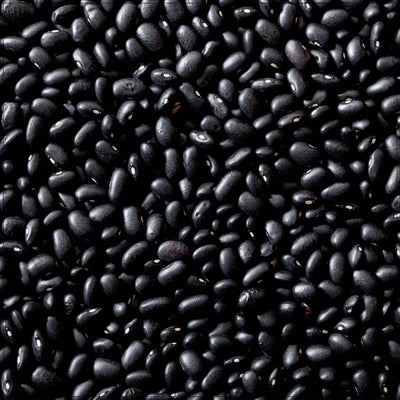 Premium Black Turtle Beans - Nutritious & Versatile Legume