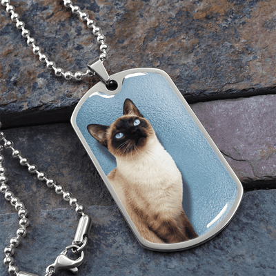 Collar de Siamés de Ojos Azules