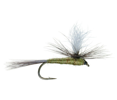 3-Pack Blue Wing Olive Parachute Dry Flies - Size 20 - Korvel