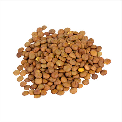 Premium Brown Lentils - Versatile Plant-Based Protein