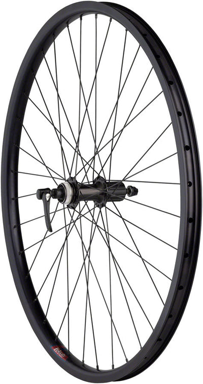 Rueda Trasera de Disco HD de Calidad - 700c Center-Lock