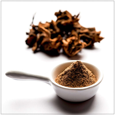 Poudre de Chitrak Premium pour usage culinaire