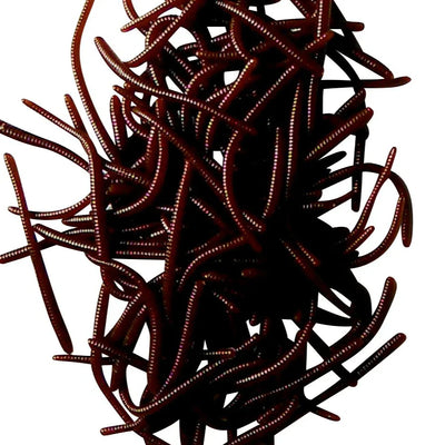 Gusanos de trucha personalizados