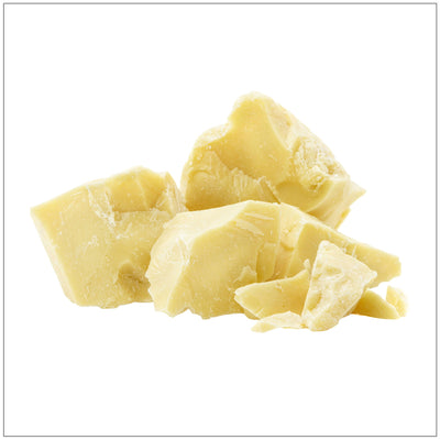 Premium Cocoa Butter Moisturizer