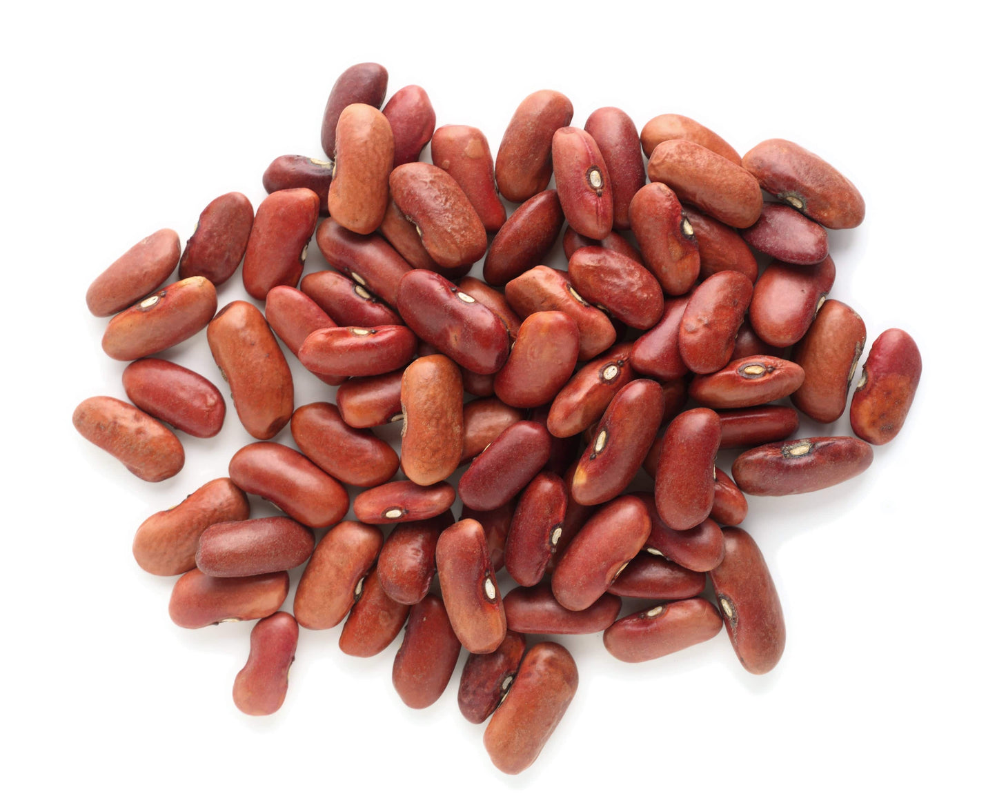 Organic Light Red Kidney Beans - High Fiber & Protein - Korvel