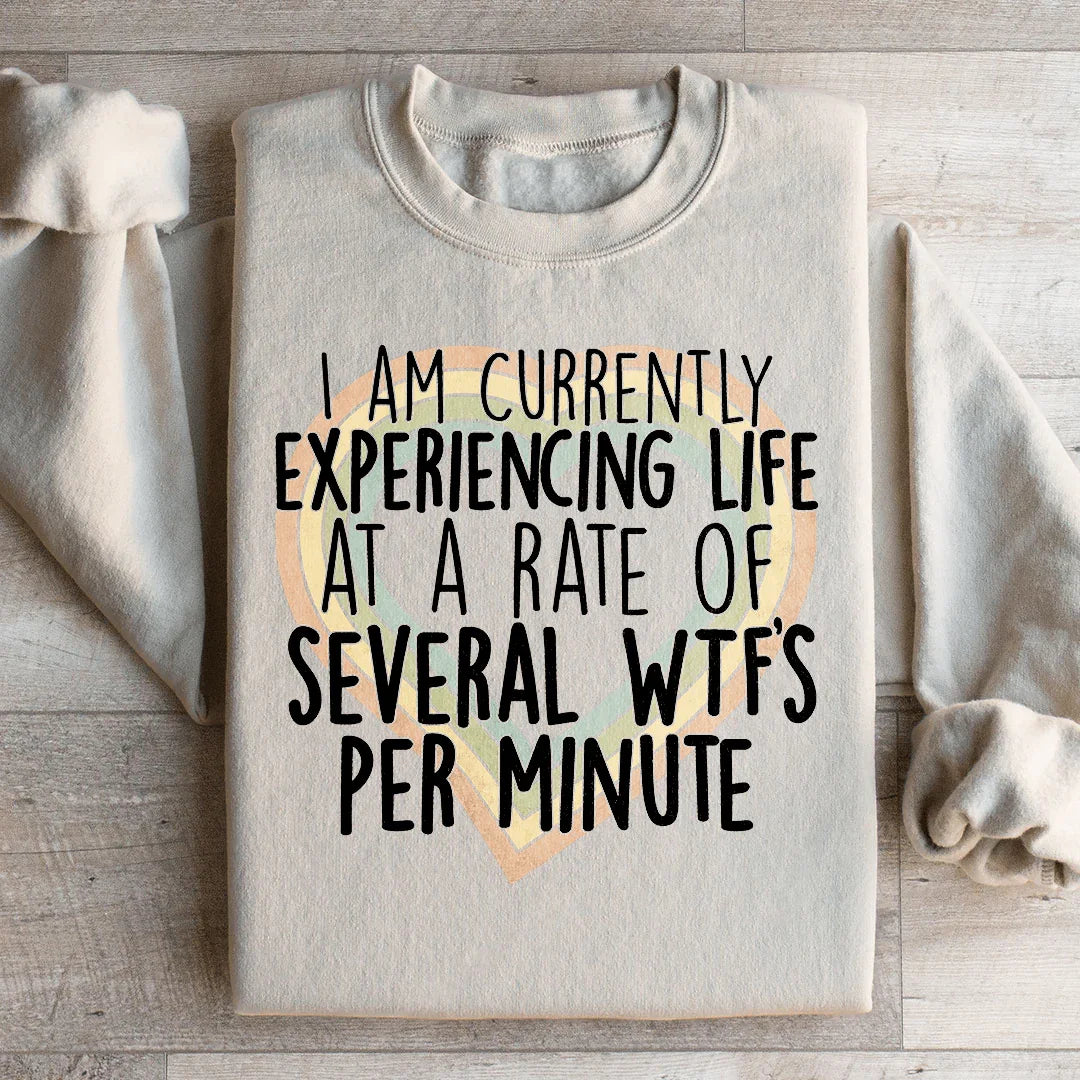 Sudadera "Actualmente experimentando la vida a un ritmo de varias WTF por minuto"