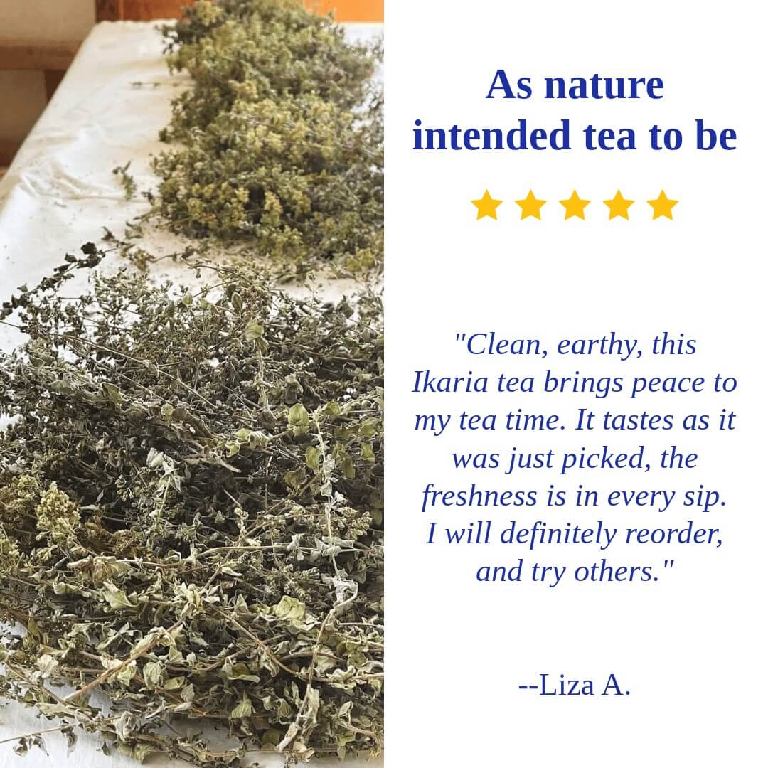Ikaria Tea – Blue Zone Herbal Blend with Dandelion, Sage & Rosemary