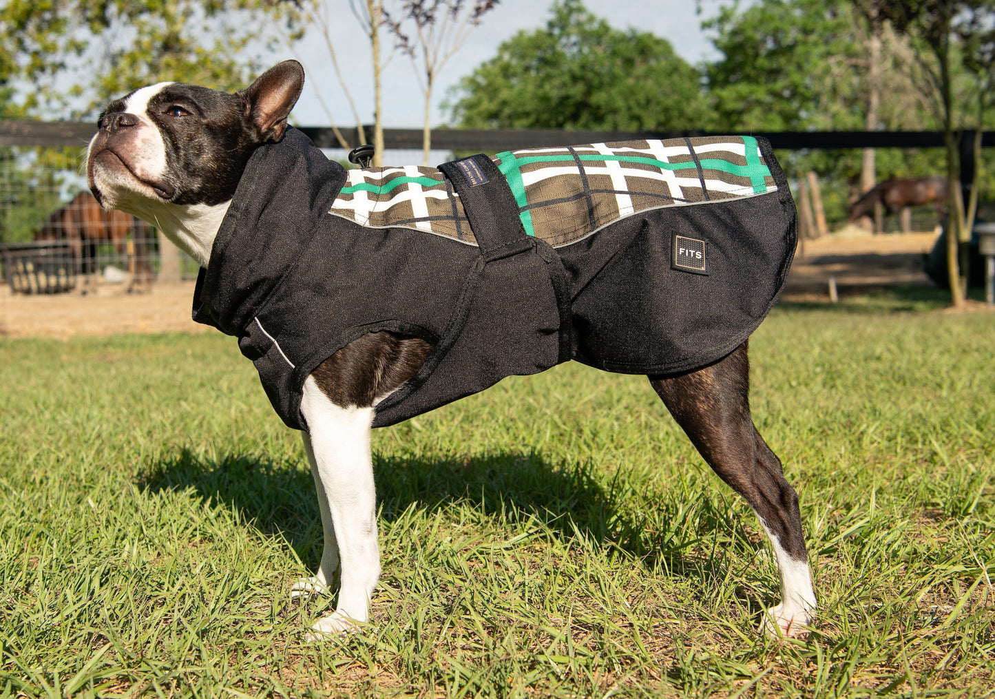 Premium All Weather Dog Coat for All Breeds