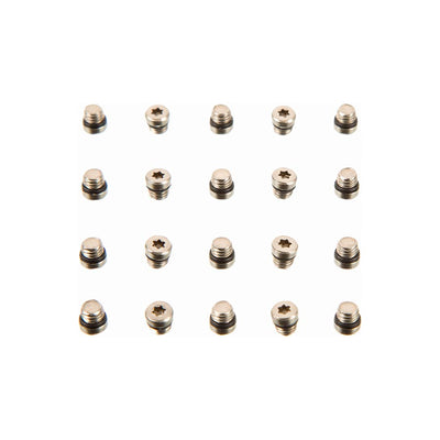 SRAM Lever Bleed Screw Set - 20 Pieces