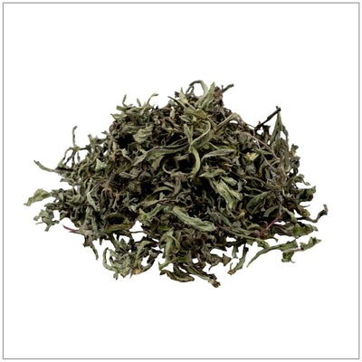 Hoja de Diente de León Premium - Potenciador de Sabor Natural