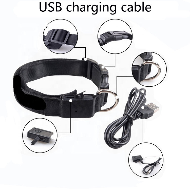 USB Rechargeable LED Dog Collar for Enhanced Visibility