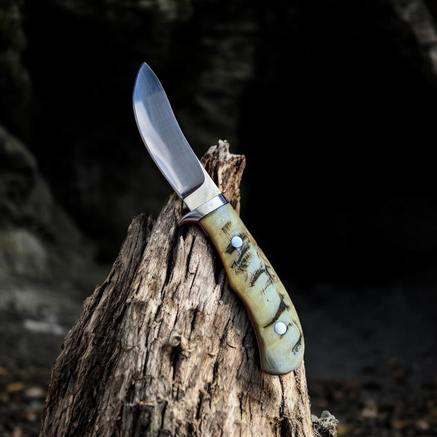 Ultimate Field Dressing Knife – 7.8" Full Tang D2 Steel with Unique Mountain Sheep Horn Handle - Korvel