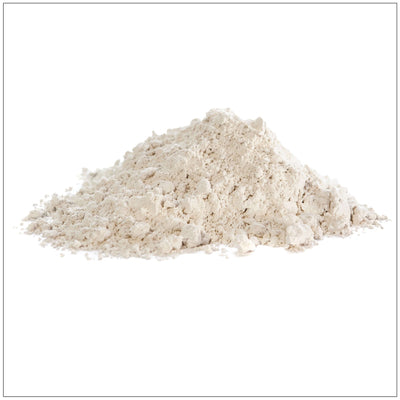 Premium Diatomaceous Earth Powder
