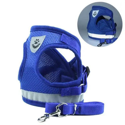 Reflective Dog Harness and Leash Set for Small to Medium Dogs