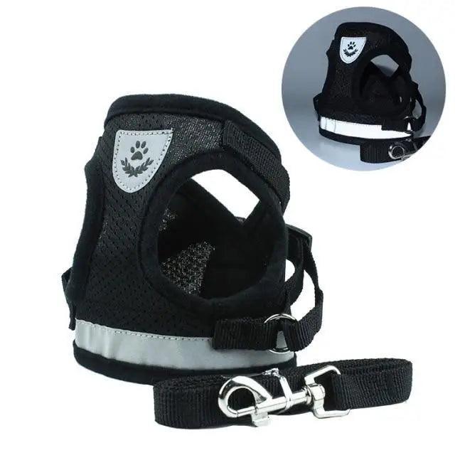 Reflective Dog Harness and Leash Set for Small to Medium Dogs