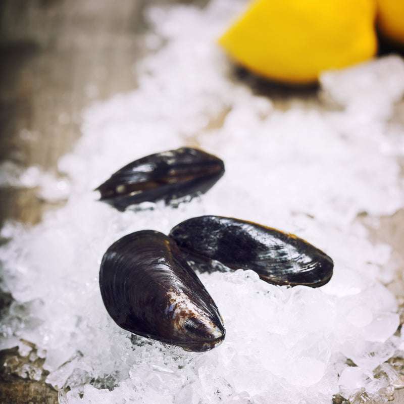 Moules Fraîches Premium – Fruits de Mer Récoltés de Manière Durable
