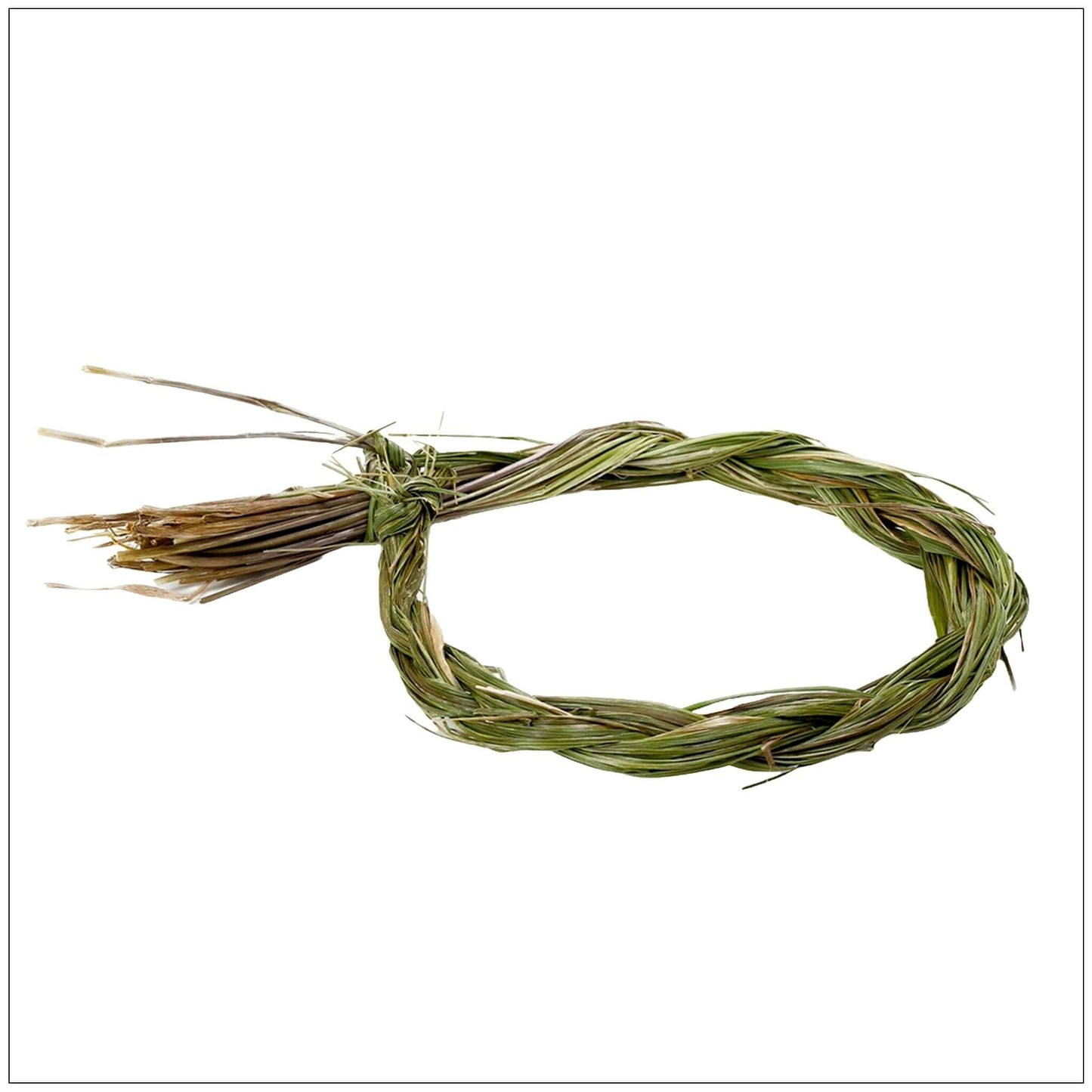 Dried Sweet Grass - Aromatic Herb for Spiritual Practices