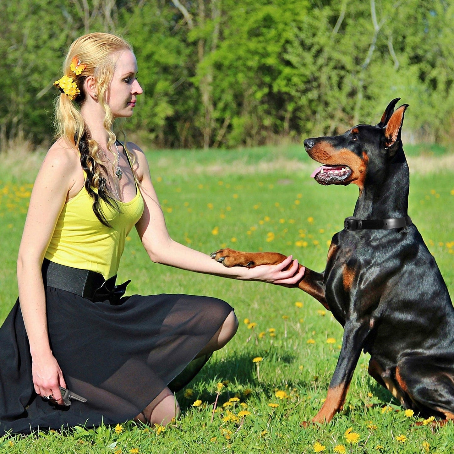 GBruno Adjustable Dog Bark Collar