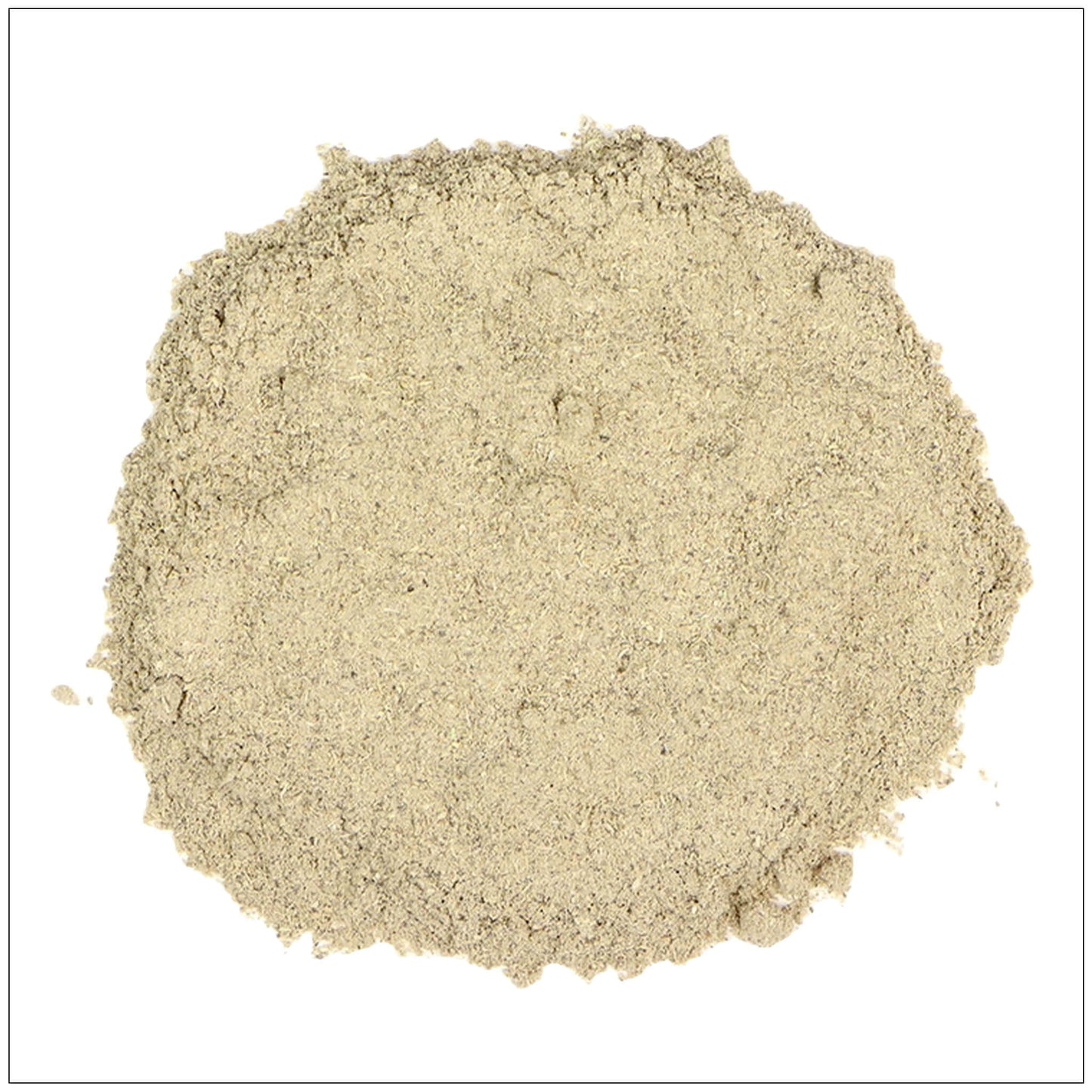 Extracto de Echinacea Premium en Polvo