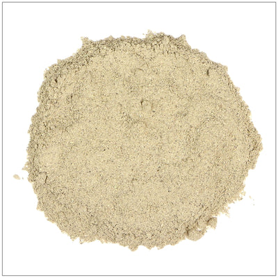 Premium Echinacea Extract Powder