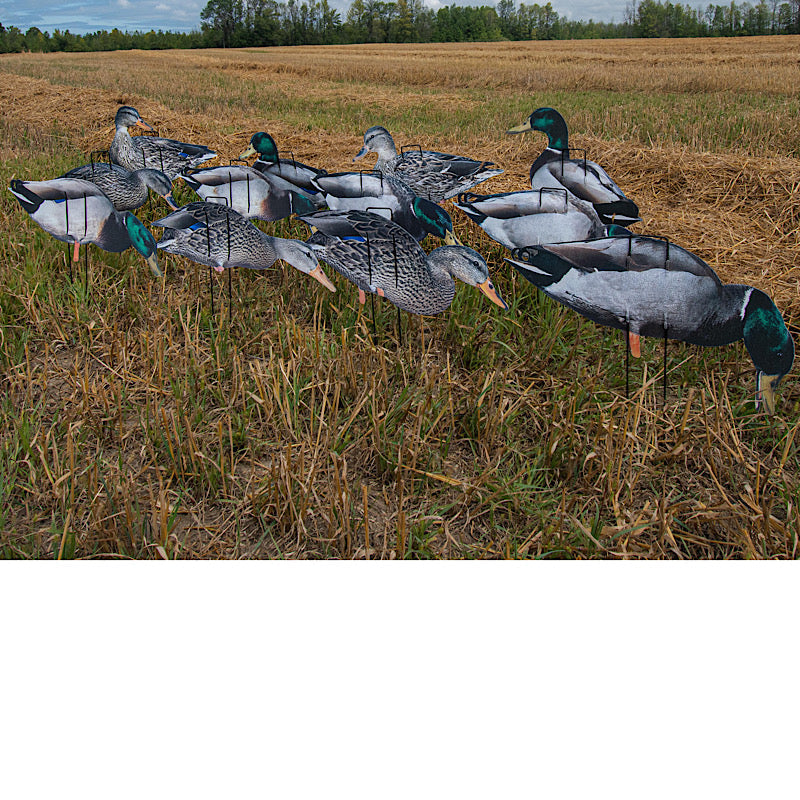 Canards Pro II Lite Mallards - Légers et Durables