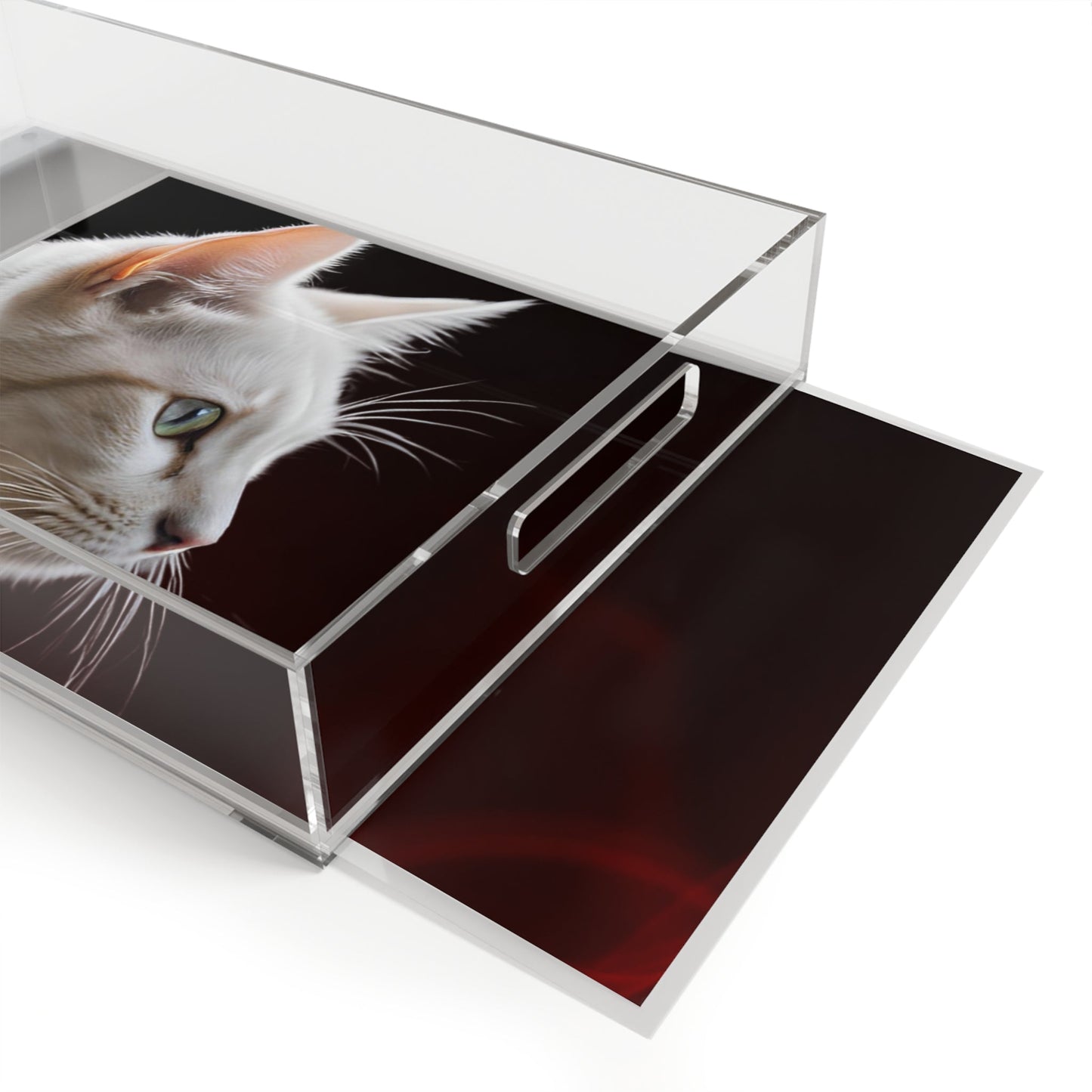 Plateau de service en acrylique élégant sur le thème des chats