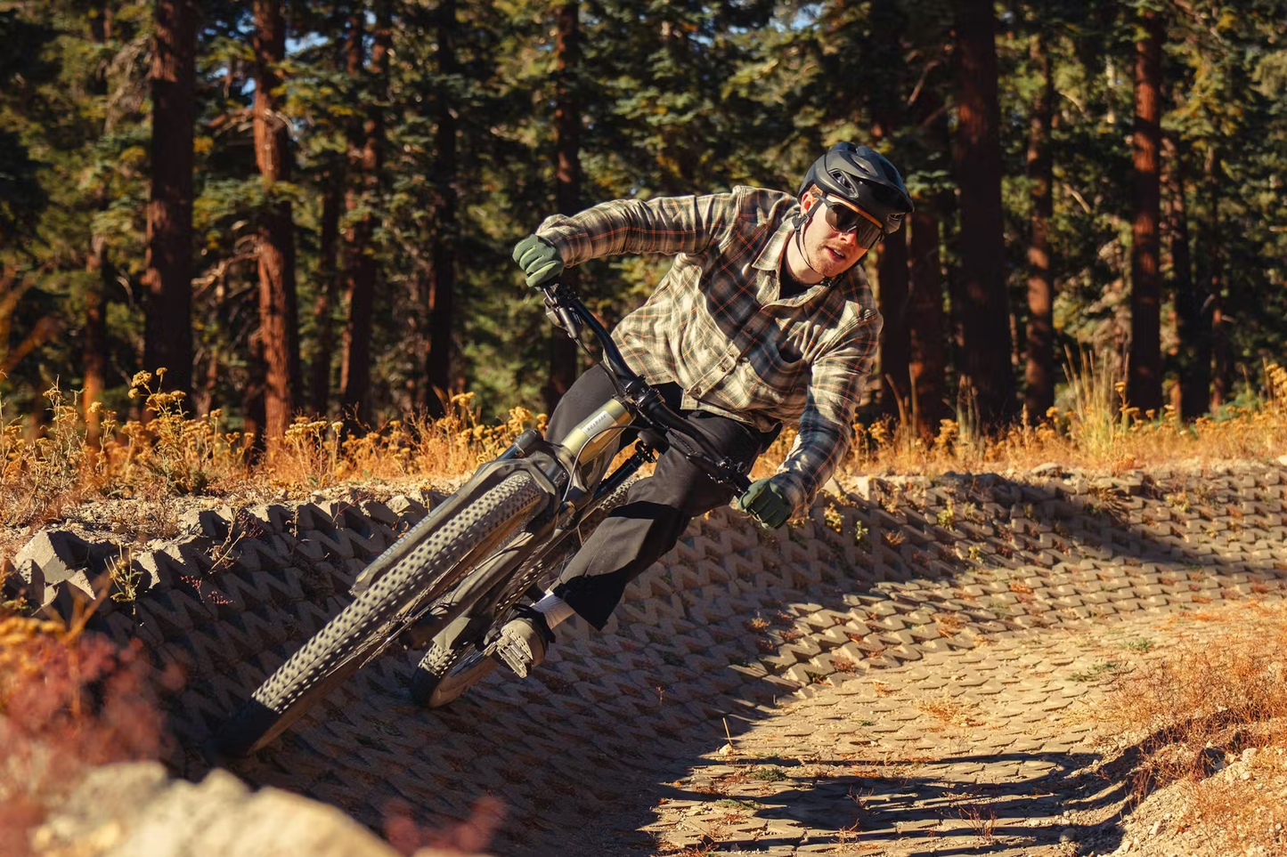 Aventon RAMBLAS eMTB - Korvel