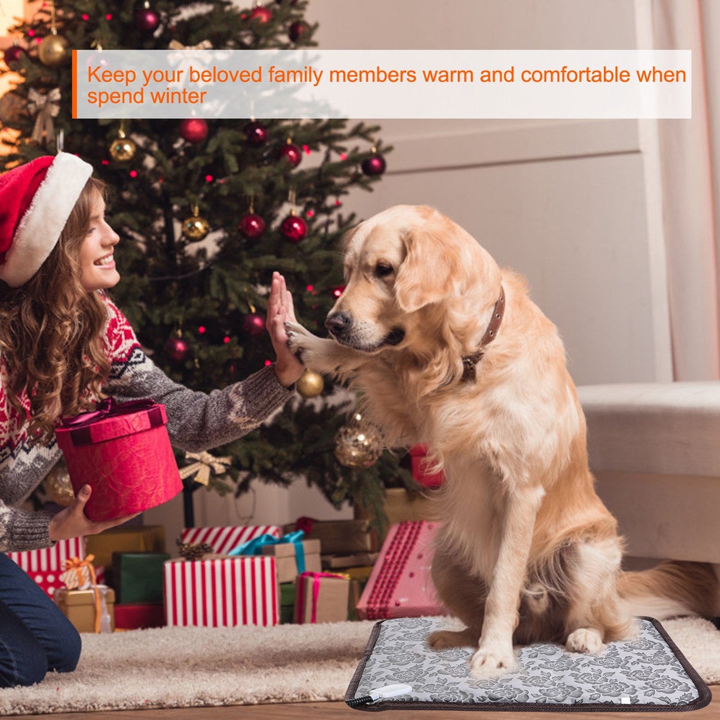 Tapis chauffant pour animaux de compagnie GBruno Cozy pour un confort ultime