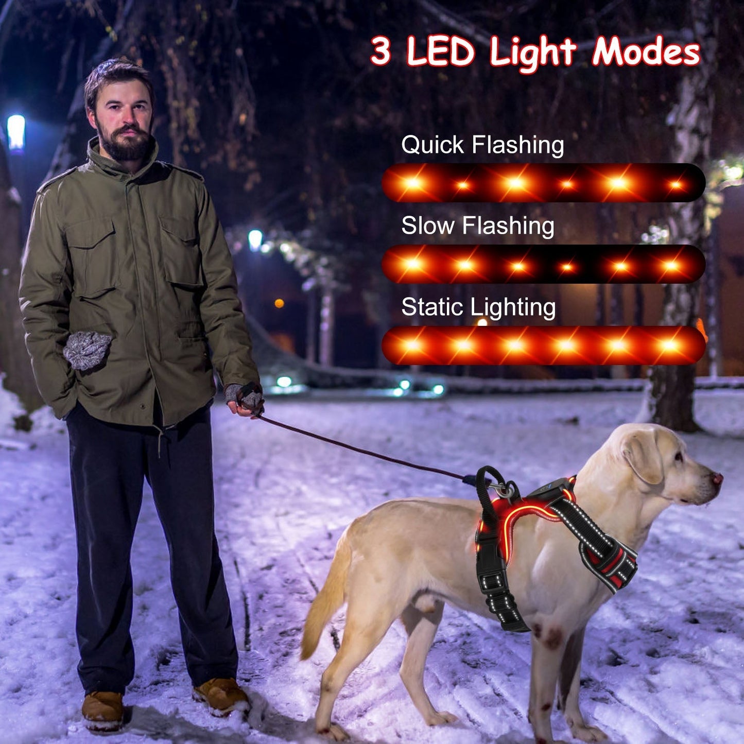 Harnais LED rechargeable pour chien - Gilet lumineux sans traction