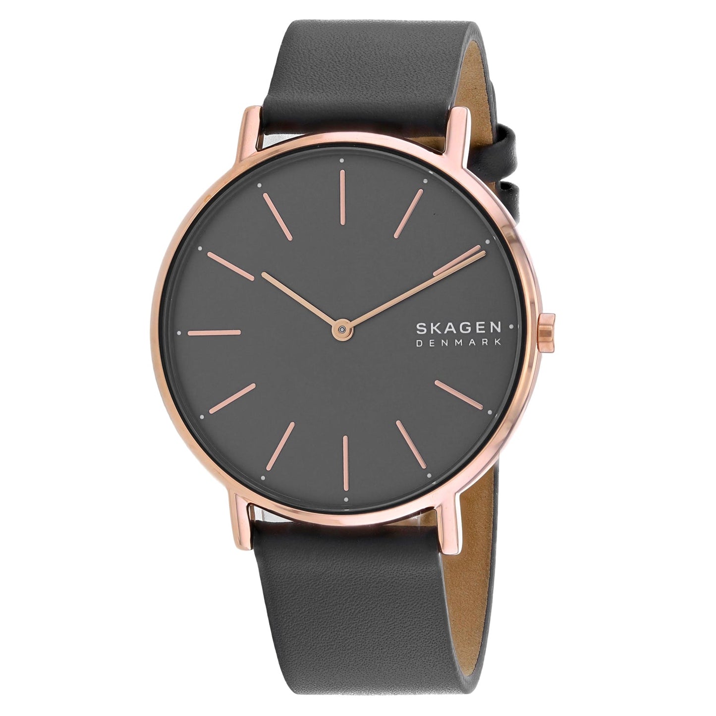 Montre Signatur pour Femme Skagen